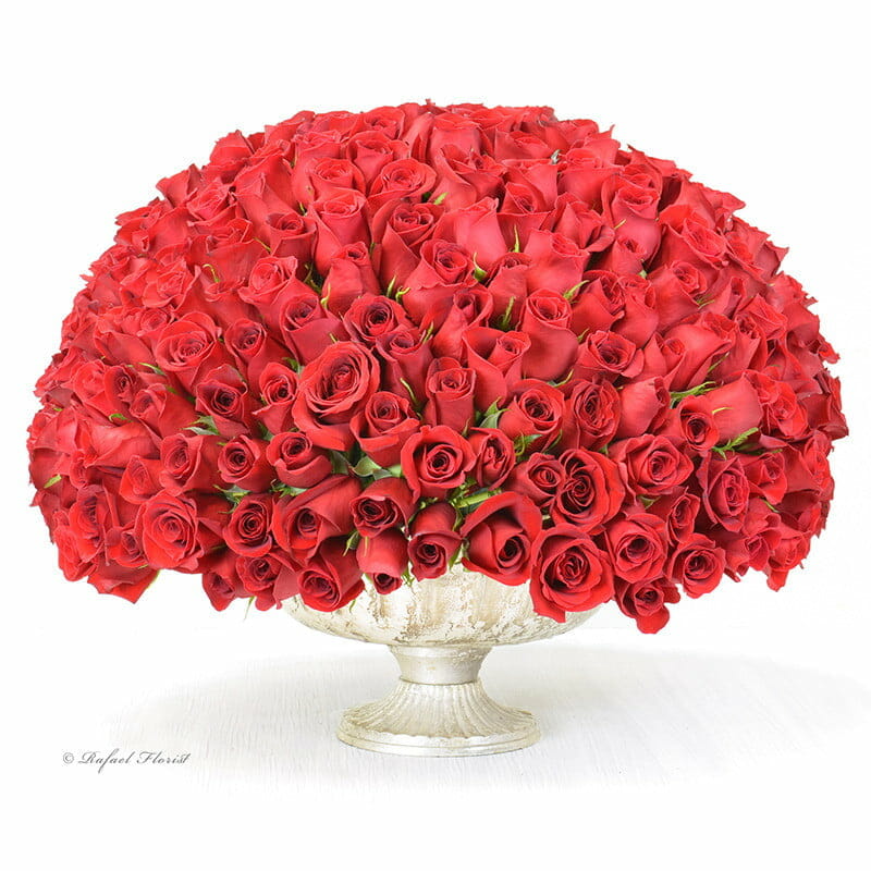Majestic Roses - B121
