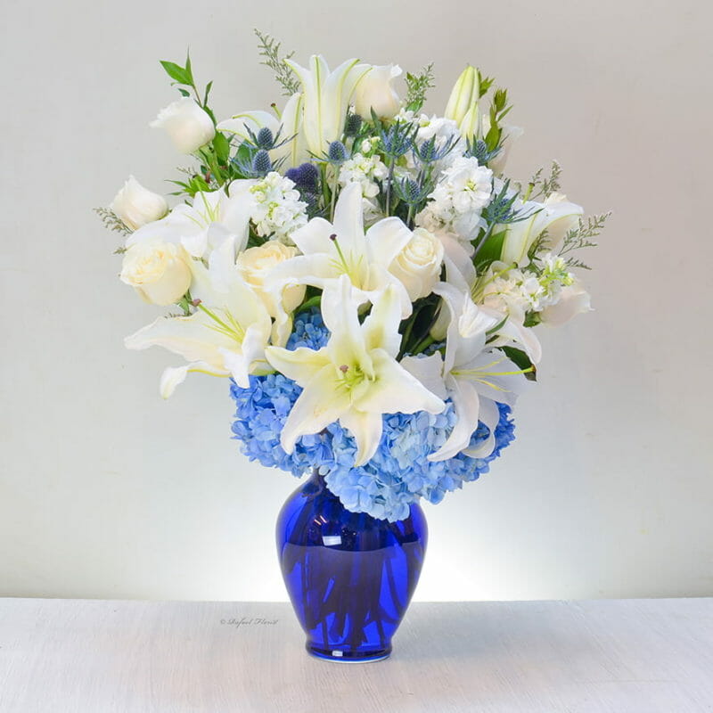 Blue and Beautiful - V209