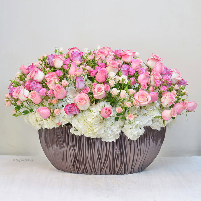 Rose Rainbow - R35