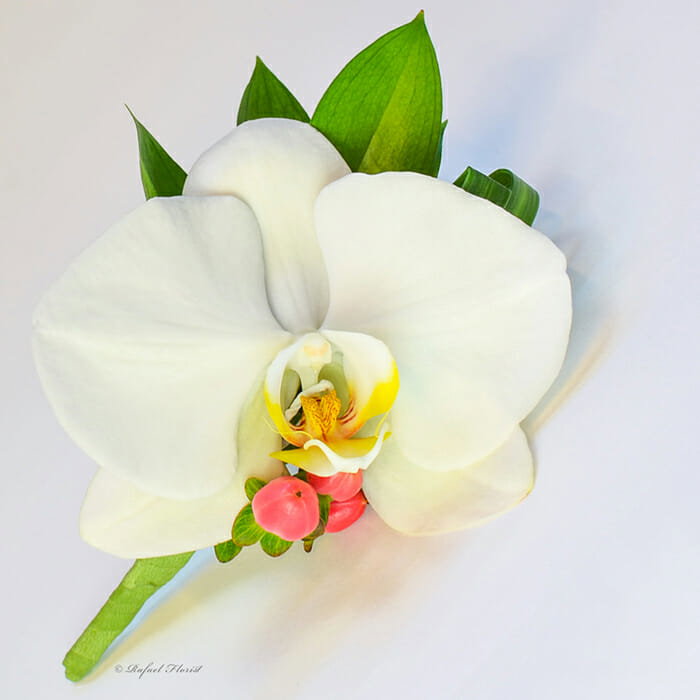 Orchid Celebration Boutonniere - BO10