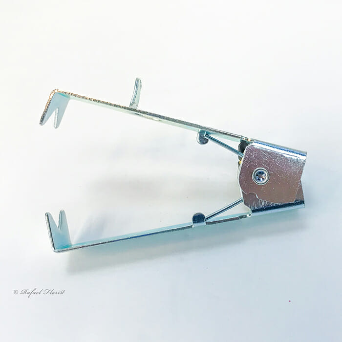 Thorn Remover #1