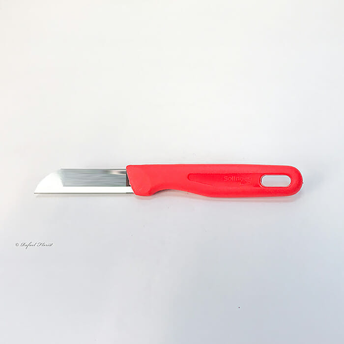 Floral Knife #1