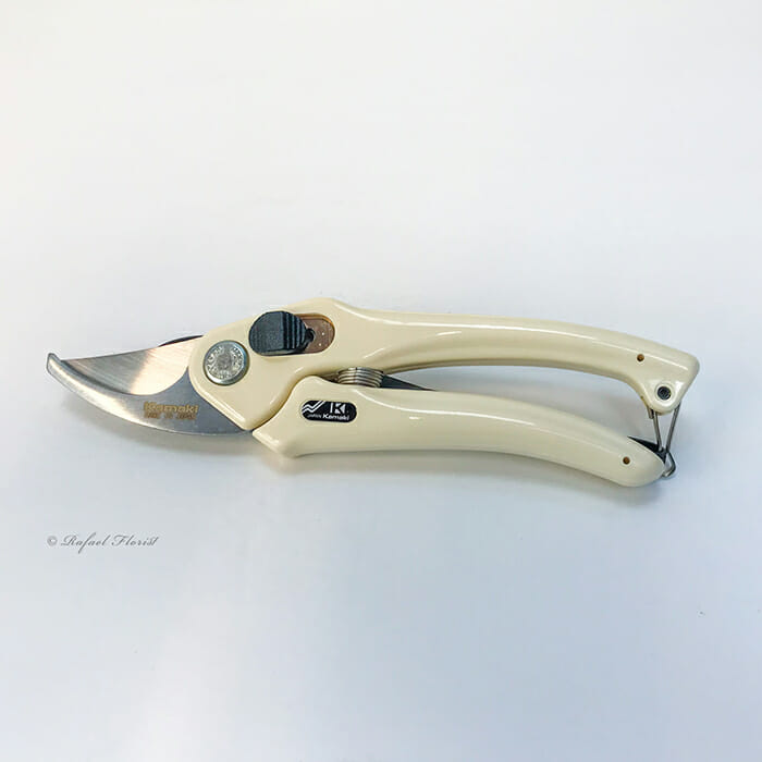Floral Shear #1