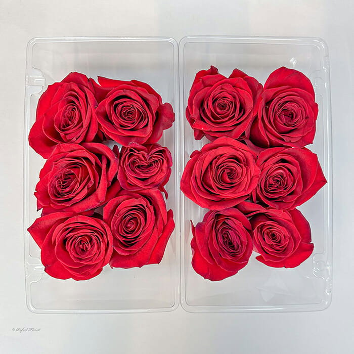 Rose Petals