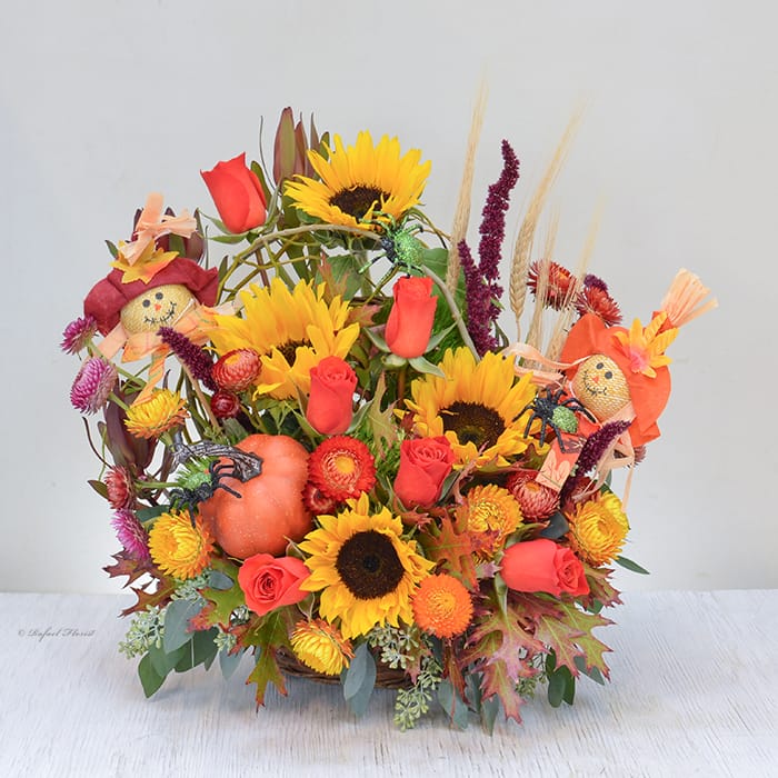 Happy Halloween basket - B80