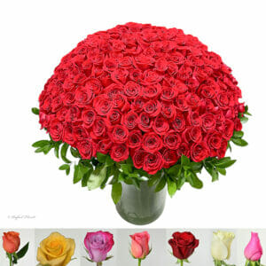 super large rose arrangement - Grand Amour - R11