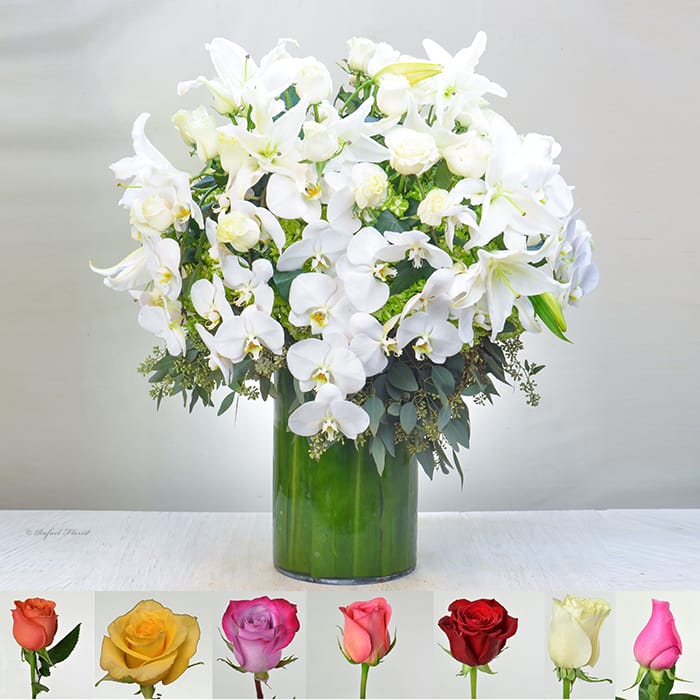 Roses & Orchids Grandeur - V101