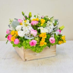 Ranunculus arrangement in wooden box - Ranunculus Rainbow - B72