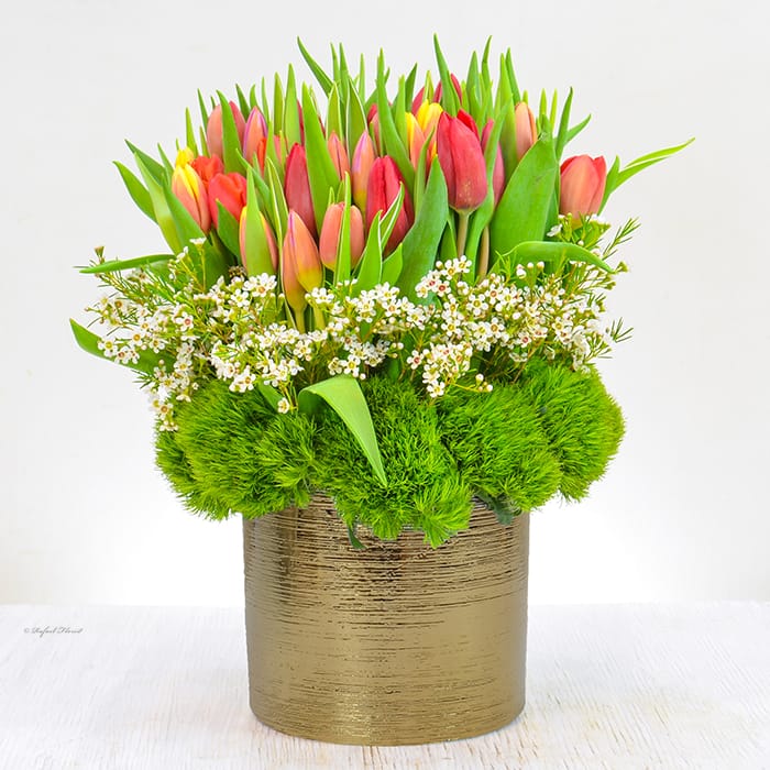 Tulip Bliss - B154