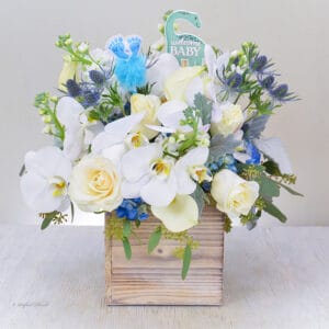 New baby boy flower arrangement - Cherished Cuddles - B126
