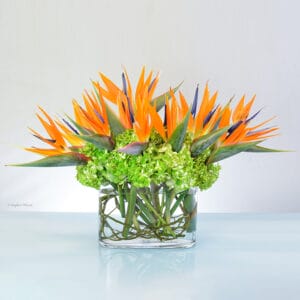 Birds of paradise floral arrangement - Aloha Sunset - V39