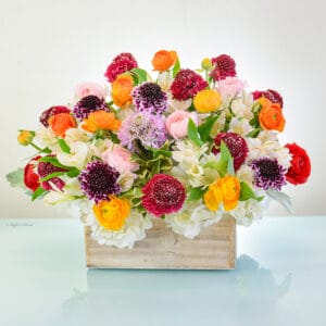 Scabiosa ranunculus flower arrangements - Summer Rainbow - B132