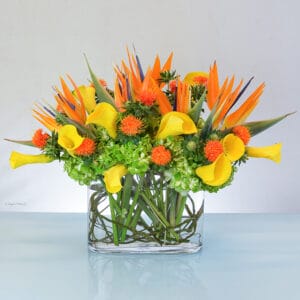 birds of paradise calla lily flower arrangement - Colors of Paradise - V72