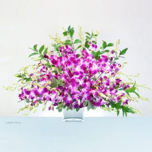 orchids in mirror glass - The Imperial Orchids - B133