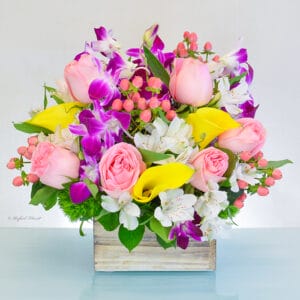 pink white orchid arrangement - Thinking Of You - B201