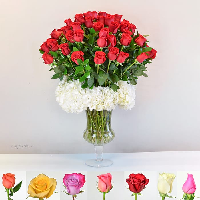 Rose Party - V92