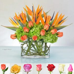 birds of paradise orange rose arrangement - Tropical Paradise - V94