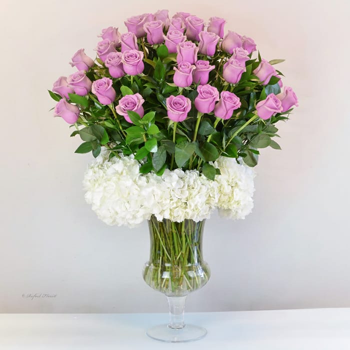 Rose Party - V92