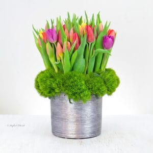 assorted tulips arrangement - SimplicityTulips - B88