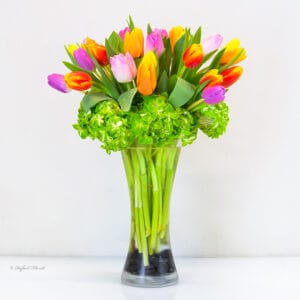 colorful tulips in glass vase - Love tulips - V54
