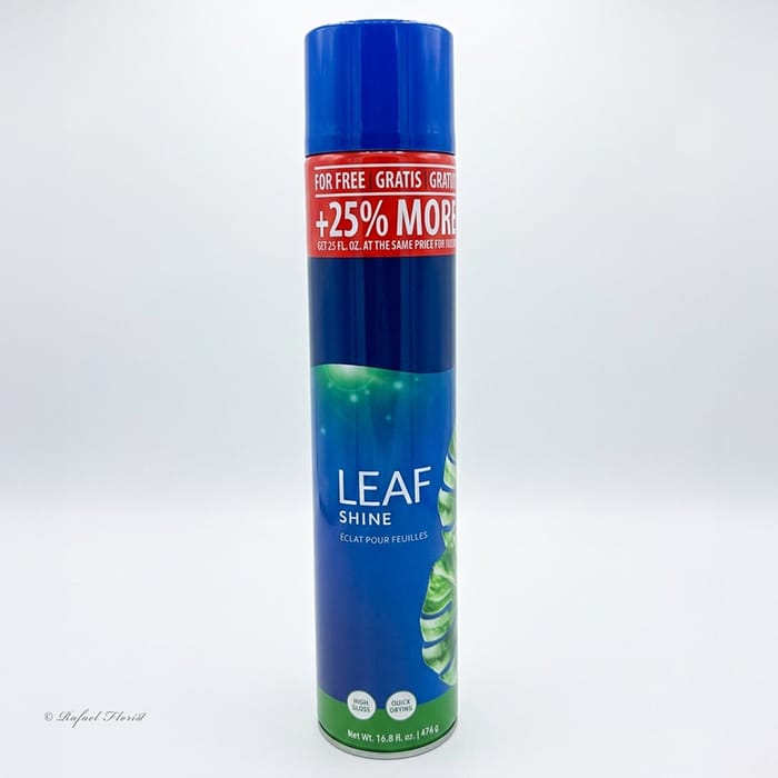 Leaf Shine