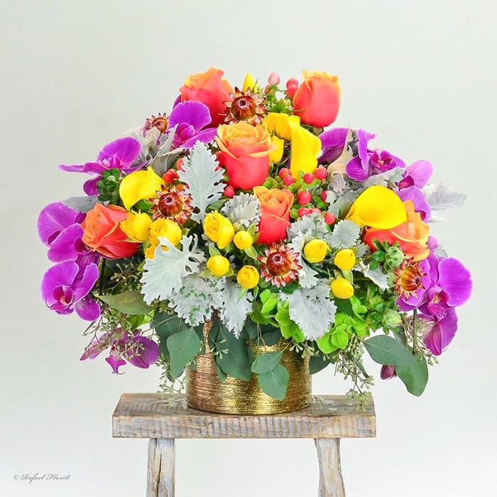 Vibrant Smile - B101