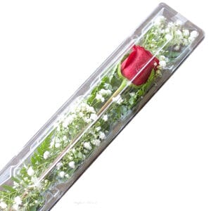 single red rose in a box - Individual Roses - R1